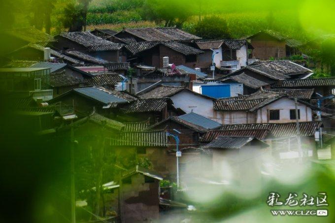 瑞德的冒险之旅中文版